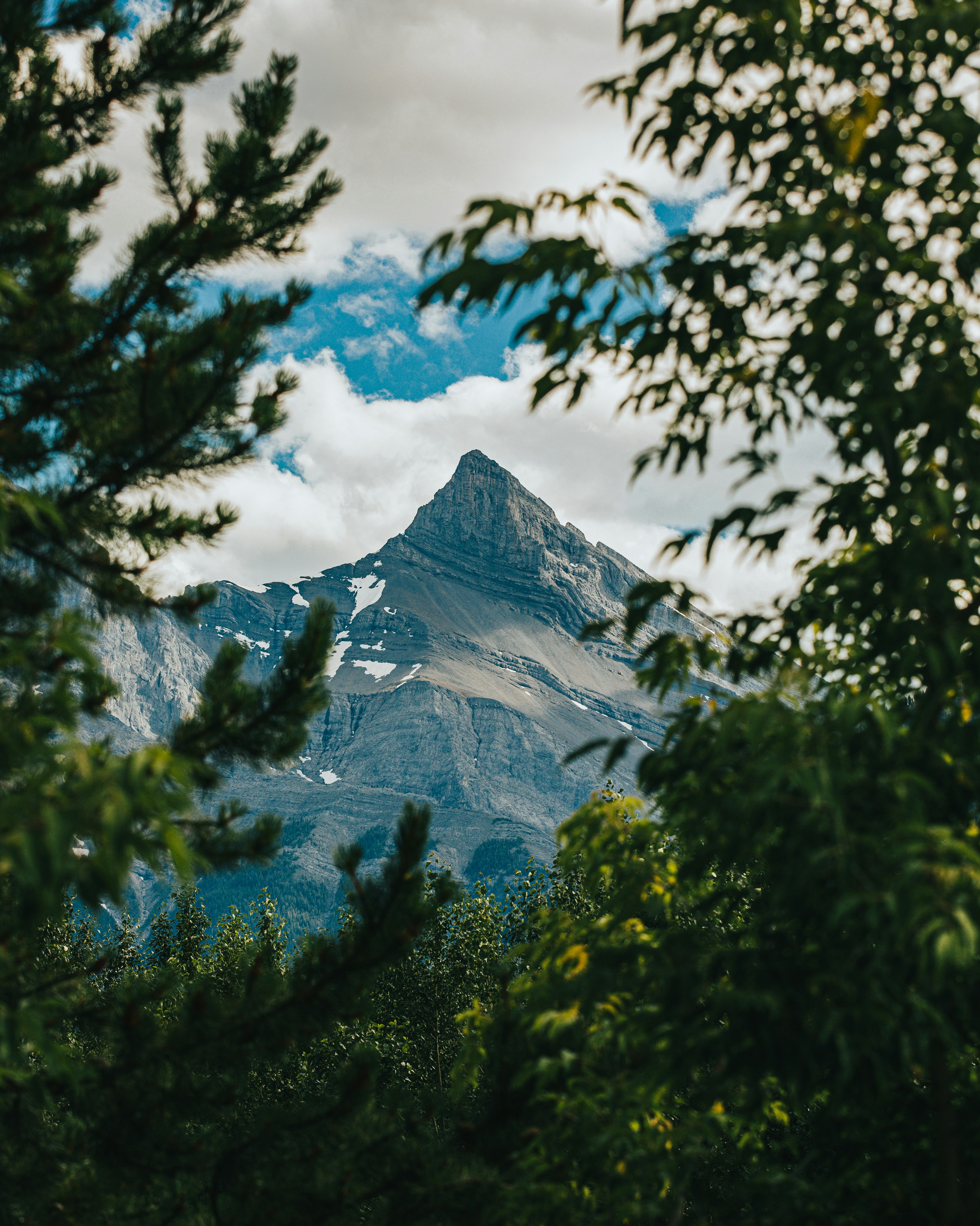 green trees near mountain under white clouds and blue sky during daytime